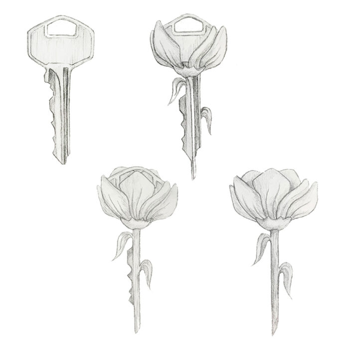 Metamorphosis Key Drawing for Grade 5-6