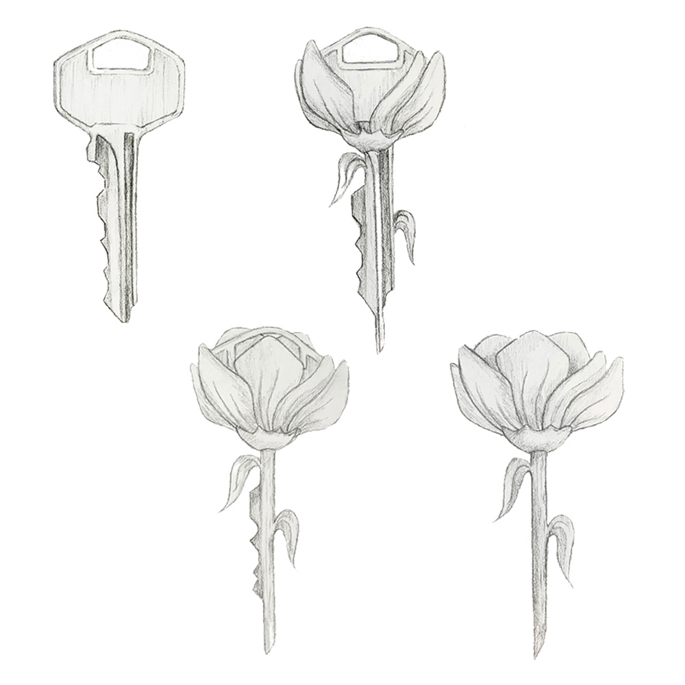 Metamorphosis Key Drawing for Grade 5-6