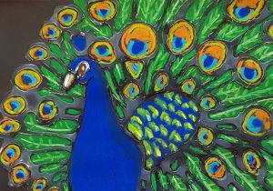 Grade 5 and 6 art lesosn peacock drawing