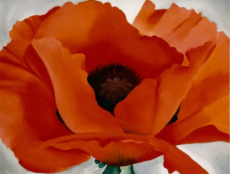 Georgia O'Keeffe, Red Poppy